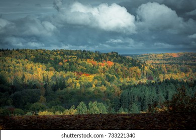 Picturesque view on valley of Gaujas national park. Trees changing colors in foothills.  Colorful Autumn day at city Sigulda in Latvia. 

