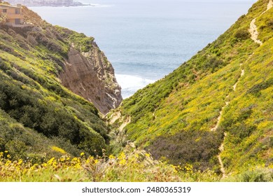 A picturesque view of the Pacific Ocean from the coastal cliffs of La Jolla, California, showcasing lush greenery and vibrant wildflowers. - Powered by Shutterstock