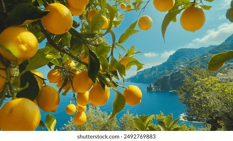 A picturesque view of ripe lemons hanging from a tree with a scenic coastal backdrop. The blue sea and rugged cliffs are visible in the background under a clear sky. - Powered by Shutterstock