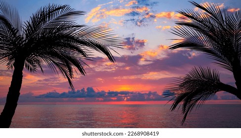 Picturesque view of sea and palm trees at sunset