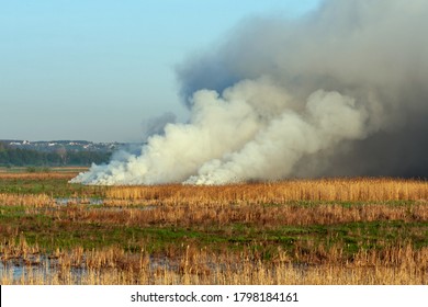 Picturesque View Of Smoke On Peat Field - Fire Nature