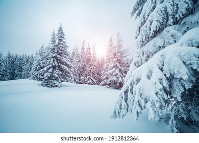 雪景色 の画像 写真素材 ベクター画像 Shutterstock