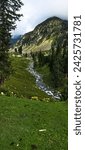 A picturesque view of stream flowing down the mountain with cloudy sky in the background. Snow melting from the mountains of kumrat form.beautiful streams that flow down to necessitate the people.