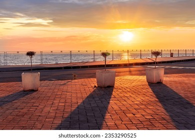 picturesque view of sunrise or sunset landscape on a sidewalk with pavement and sea promenade with three flower pots with small trees, urban embarkment decor - Powered by Shutterstock