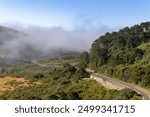 A picturesque view of a winding road cutting through lush green hills and forests along the Northern California coast. 