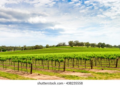 Picturesque Winery In Barossa Valley, South Australia.