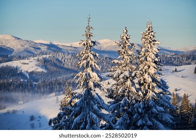 Picturesque winter landscape featuring snow-covered evergreen trees in foreground, with rolling hills, snow-capped mountains in background. Scene bathed in soft, golden sunlight under clear blue sky. - Powered by Shutterstock