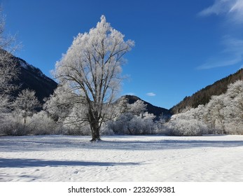 Picturesque winter landscape on a sunny day with clear blue sky and a white covered landscape at lake lunz in lower austria. - Shutterstock ID 2232639381