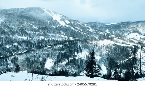 A picturesque winter landscape opens before you, decorated with elegant fir trees and crowned with majestic snow-capped mountains. The quiet beauty of nature is captured in a serene scene - Powered by Shutterstock