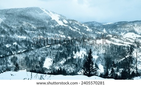 A picturesque winter landscape opens before you, decorated with elegant fir trees and crowned with majestic snow-capped mountains. The quiet beauty of nature is captured in a serene scene