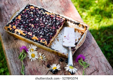 Pie With Black Currant