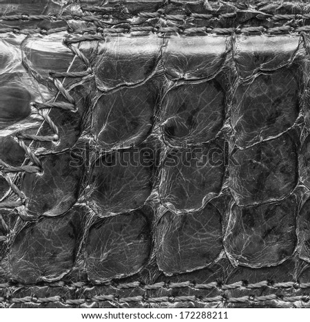 Similar – Foto Bild netzwerk Natur Winter Eis