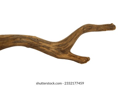 Piece branches of driftwood for aquarium design and decor isolated on white background with clipping path - Powered by Shutterstock