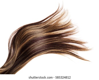 piece of brown hair on white isolated background