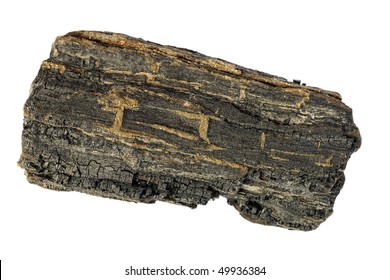 Piece of carbonized wood from Isle of Wight, laced with fool's gold. - Shutterstock ID 49936384