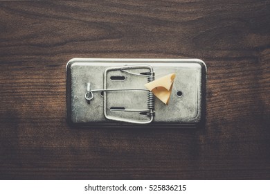 Piece Of Cheese In Metal Mousetrap Concept