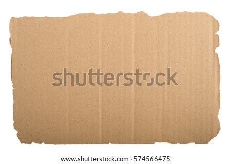 piece of corrugated cardboard white background. Cardboard texture ragged edge.
