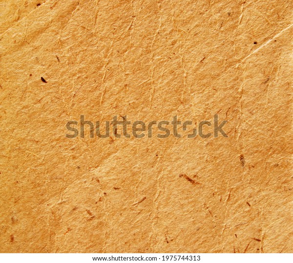 A\
piece of creased brown recycled paper as\
background