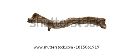 Piece of dried twig isolated on white
