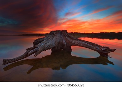 A Piece Of Driftwood At Longview Lake During A Vibrant Sunrise.