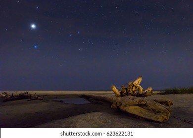 A Piece Of Driftwood Lying On A Beach On Fripp Island, South Carolina Under The Starry Night Sky.