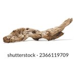 Piece of old dry driftwood on a white background. Isolated on white. 