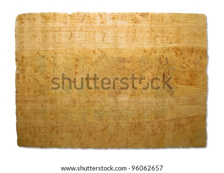 Piece of papyrus texture