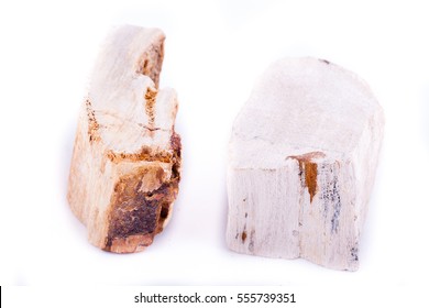 Piece of petrified wood on white background
