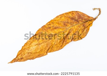A piece of tobacco leaf on a white background