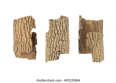 30,396 Piece Of Bark Images, Stock Photos & Vectors | Shutterstock