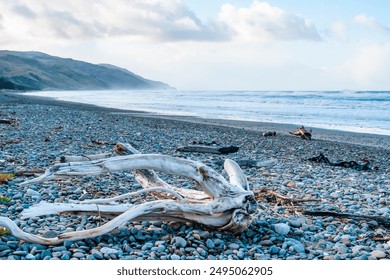 A piece of twisted driftwood lies on a pebble-strewn beach, with waves crashing in the background, misty hills in the distance, and a partly cloudy sky overhead. - Powered by Shutterstock