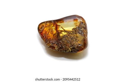 A piece of unique amber with inclusions on a white background. Inclusions in the form of chips, wood, fibers. Sun stone. Cured ancient petrified resin. Semi-precious natural mineral. Copal. Crystal. 