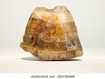 A piece of untreated quartzite metamorphic rock isolated on a white background.