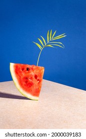 A piece of watermelon with a palm leaf balances on a blue background.