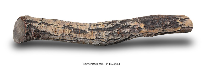 A Piece Of Wood From Nature Isolated On White Background