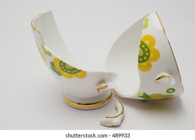 Pieces Of A Broken Fine China Cup