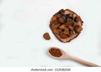 Pieces of chaga on a saw cut tree and a wooden spoon with chaga powder on a light background. Health concept. Copy spaes. Top view. Flatlay.