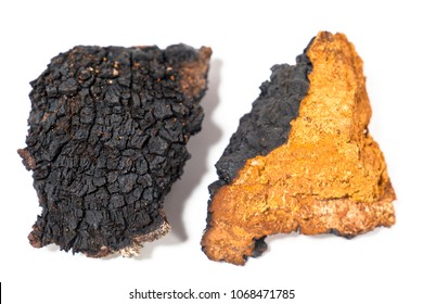 Pieces of foraged medicinal chaga mushroom displayed against a white background.