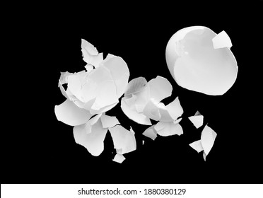 Pieces Of Shell Of The Egg. Soft Focus On Black Background In Studio .