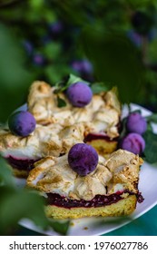 Pieces Of Tasty Homemade Pie With Plums And Meringue In The Spring Garden. Green Leaves Of Plum Tree Background.