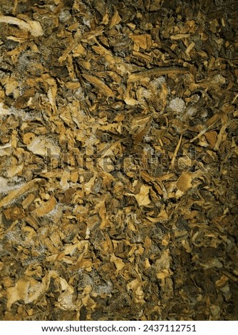 pieces of tobacco covered in mold



