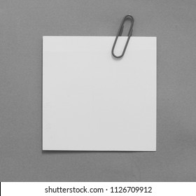 Torn Pieces Paper On Black Background Stock Photo 316504949 | Shutterstock