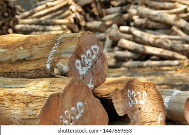 Pieces Of Wood For Funiture