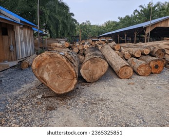 pieces of wood from Kalimantan forest products - Shutterstock ID 2365325851