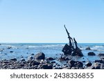 Pied shag perched on silhouette of shipwrecked remains of bow of Gairloch on south end Oakura beach New Plymouth.