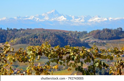 Piedmont Langhe Monviso