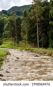 Piedras River Basin, La Ceja, Antioquia - Colombia.