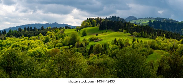 Pieniny Panorama View Landscape Szczawnica