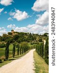 pienza, tuscany, italy, tuscany landscape, cypress avenue, cypresses, winery, wine, vacation, agriturismo, scenic, countryside, nature, landscape