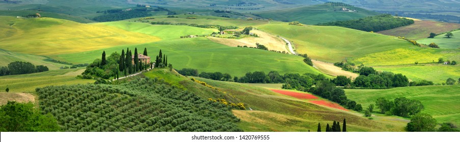 Pienza, Tuscany - June 2019: beautiful landscape of Tuscany in Italy, Podere Belvedere in Val d Orcia near Pienza with cypress, olive trees and green rolling hills. Siena, Italy.